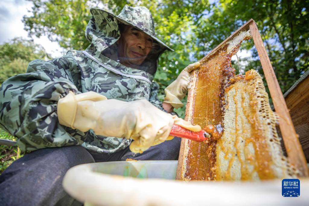捕鱼大圣闹海